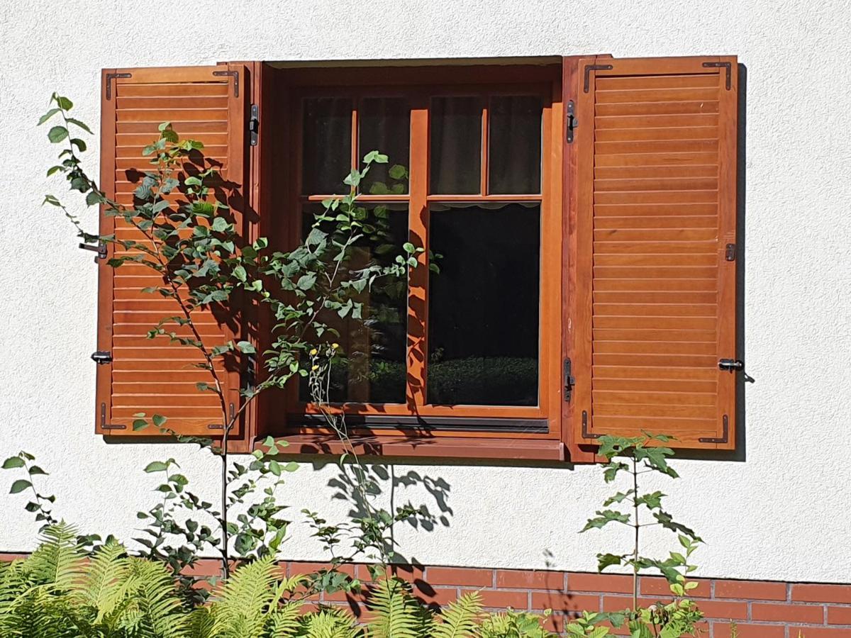 Baza Noclegowa Na Barbarce Stary Toruń