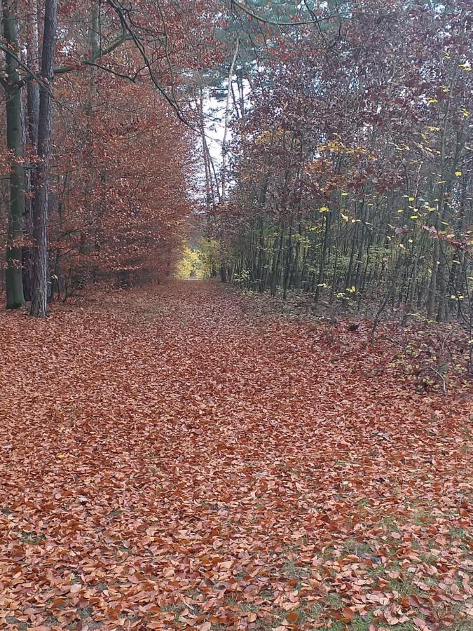 Baza Noclegowa Na Barbarce Kwatera prywatna Stary Toruń